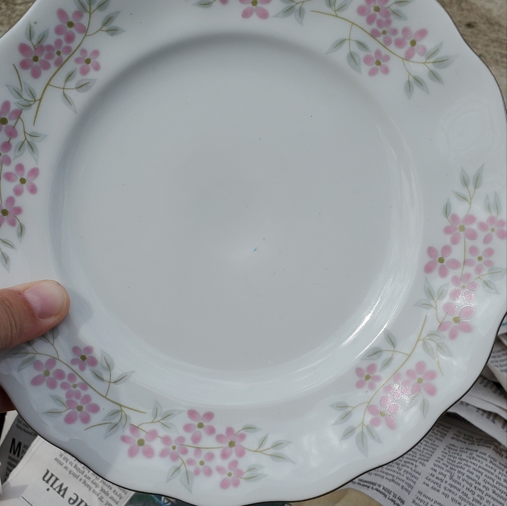 China Dishes from Poland, Favolina-Karolina, Odette Pattern